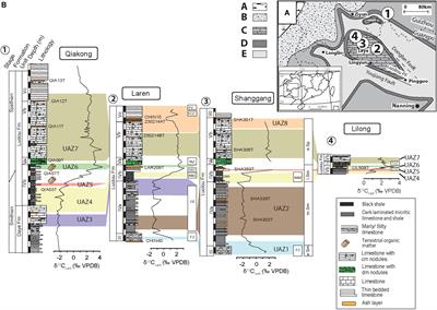 Dynamics of the Largest Carbon Isotope Excursion During the Early Triassic Biotic Recovery